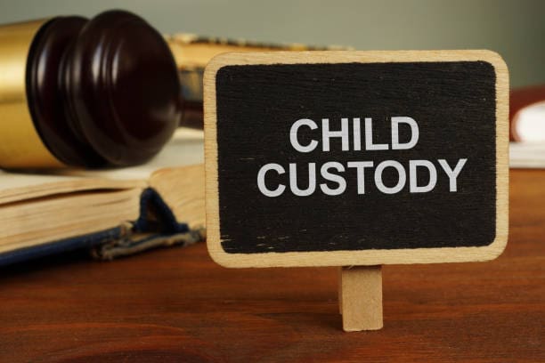 Family Child Custody Investigations - Low Cost Detectives