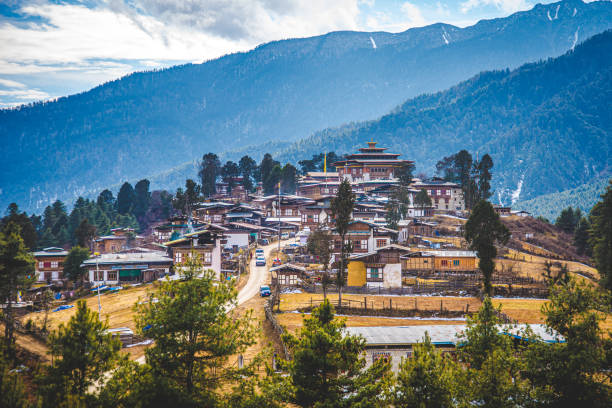 Bhutan - Low Cost Detectives - Sextortion - Detective Agency - Investigators
