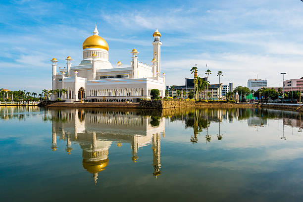 Brunei - Low Cost Detectives