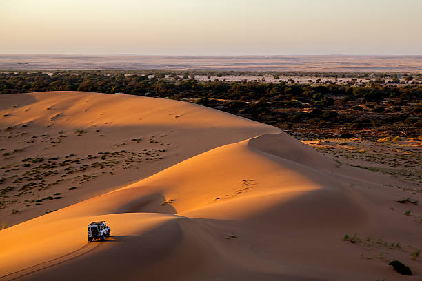 Namibia - Low Cost Detectives