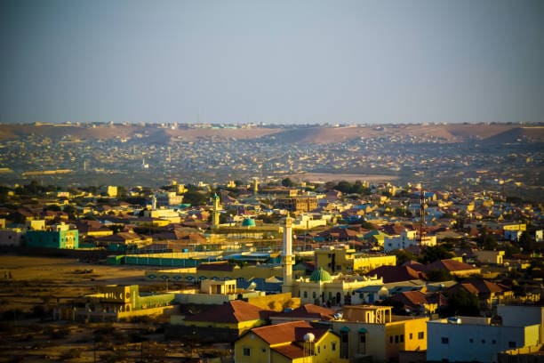 Somalia - Low Cost Detectives