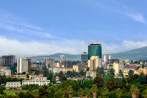 Addis Ababa Ethiopia - Low Cost Detectives