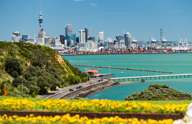 Auckland - New Zealand - Low Cost Detectives