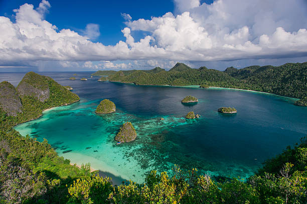 Papua New Guinea