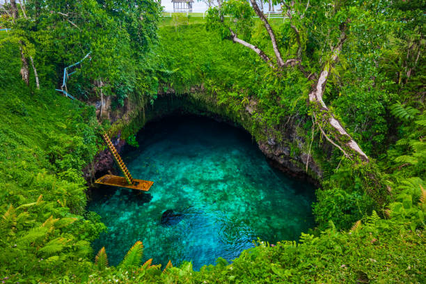 Samoa - Low Cost Detectives