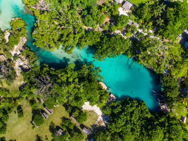 Vanuatu - Low Cost Detectives