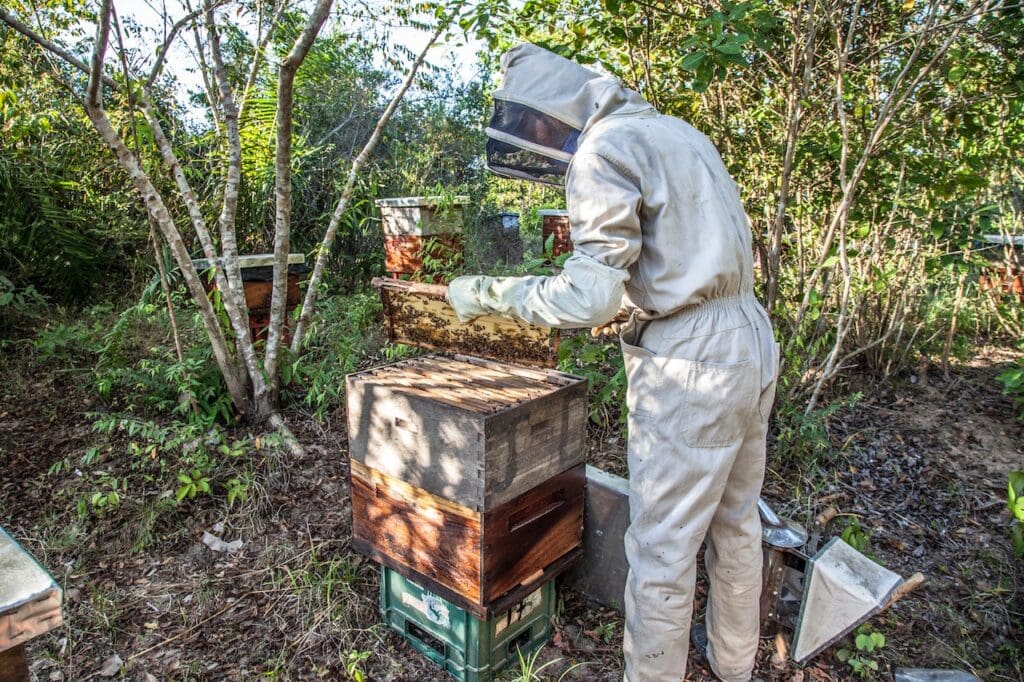 honey trap service South America - low cost detectives - honey traps in South America - South America honey trapping