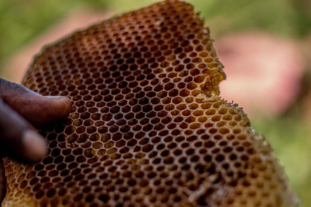 honey trap service africa - low cost detectives - honey traps in africa - africa honey trapping